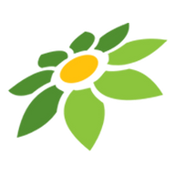 LINK BERLIAN99